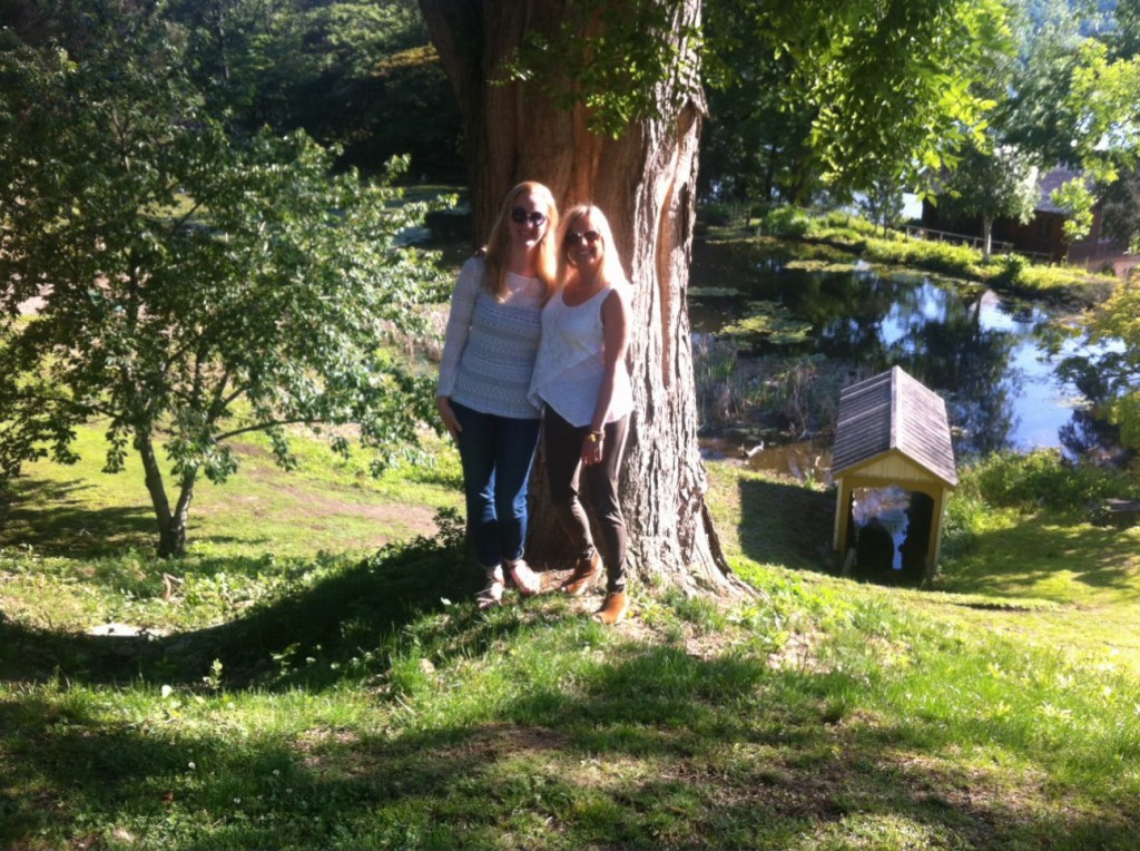 Cedarmere Reading