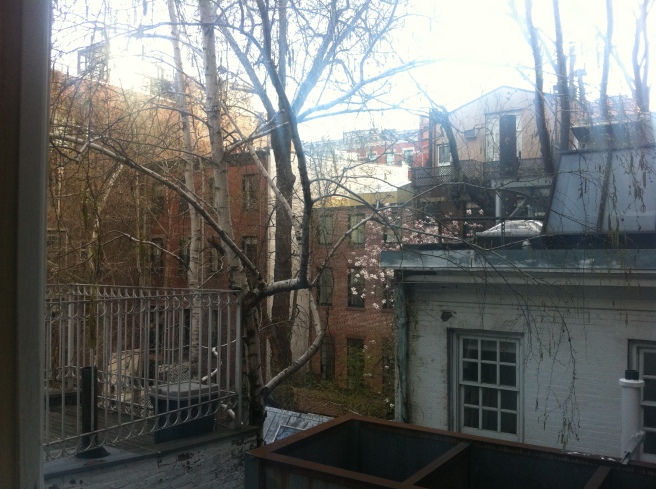 Looking out the window, Lillian Vernon Creative Writers House